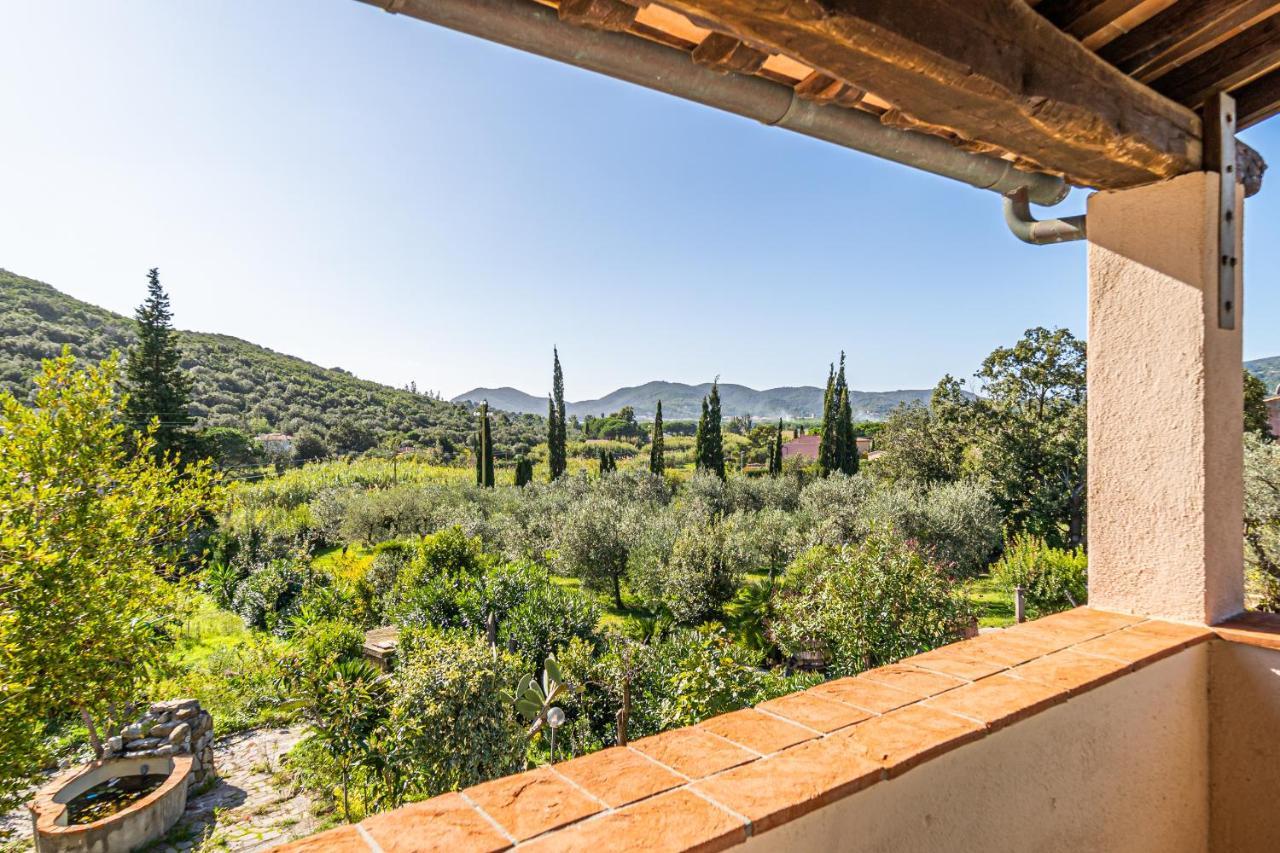 Case Vacanza Filetto A Marina Di Campo Literno Luaran gambar